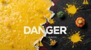 नकली पनीर