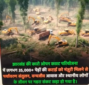 झारखंड-में-35000-पेड़ों-की-कटाई